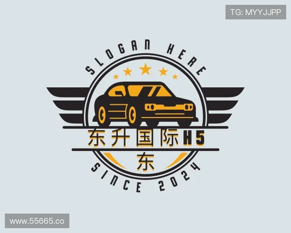 了解东升国际h5